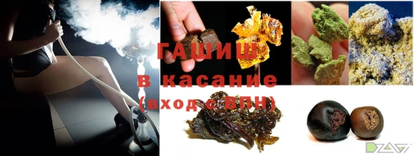 индика Аркадак