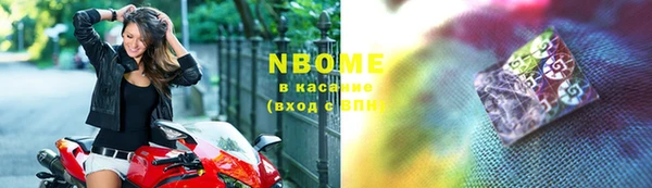 индика Аркадак