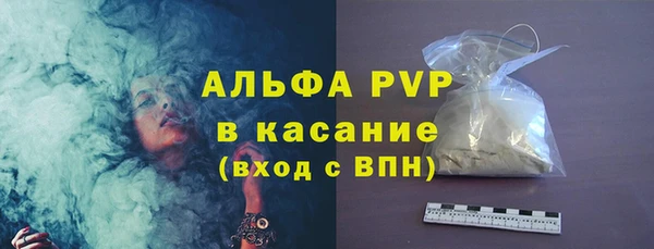 индика Аркадак