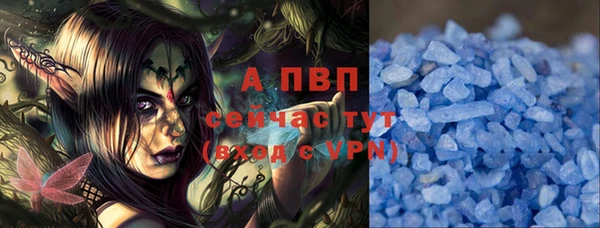 индика Аркадак
