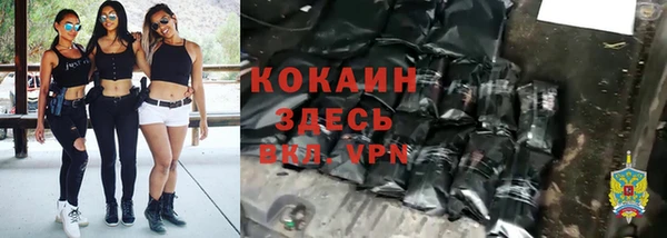 индика Аркадак