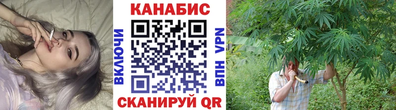 Марихуана сатива  Мирный 